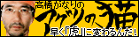 高橋がなりのアグリの猫