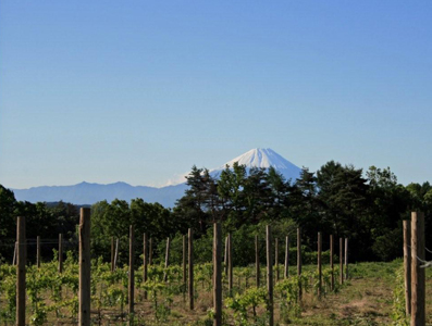 fujisan.jpg